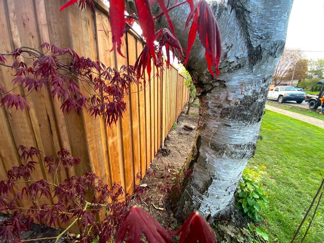 🔹PRESSURE TREATED - Full privacy

📌 Pressure treated should be used for all outdoor projects, choose any style of your liking with the help of our team!

🦺 We install various types of fence for any sized properties for both residential and commercial clients

📍 Contact us today for your free estimate:

📱 (647) 913 6405

📨 office@propertyfence.ca
.
.
.
.

#propertyfence #propertyfencing #propertyfencing #property #propertyinvestment #property #propertyinvestor #propertydevelopment #propertydeveloper #investmentproperty #fence #fencebuilding #fencebuilders #fenceinstallation #fencecontractor #fenceideas #fencedesign #fenceideas #fencepostfriday #fencedhouse #fencecompany #woodfence #fencecompany #fencelife #gardenfence #newfence #aluminumfence #customfence